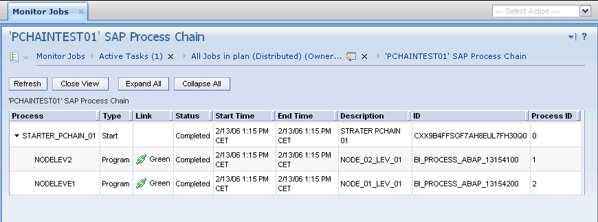 Details view for a process chain job