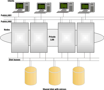 shared disk with mirrors