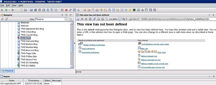 Displays the TWS Host in the Physical view in the navigator pane