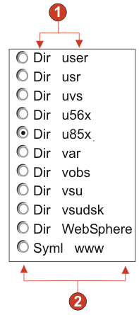 Example of radio button (item selection) widget