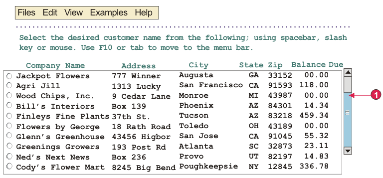 Example of scrollbar (ENPTUI) widget