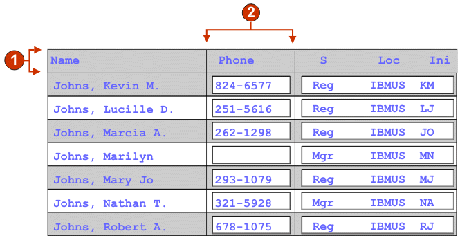 Example of table widget