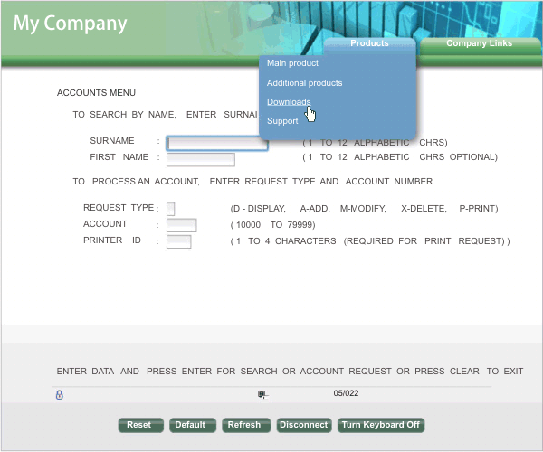 ZIETrans-supplied Web application finance template