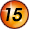 Step 15